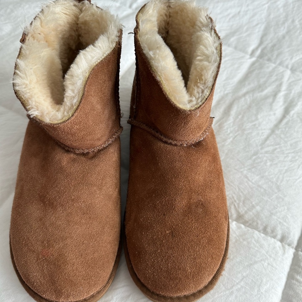Suede - Picture 6 of 6